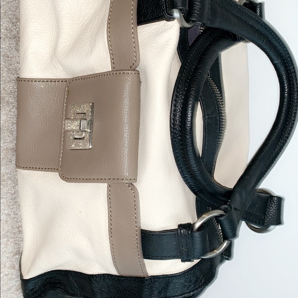 Bcbg small purse